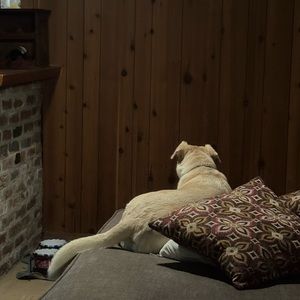 Meet your Posher, Mia